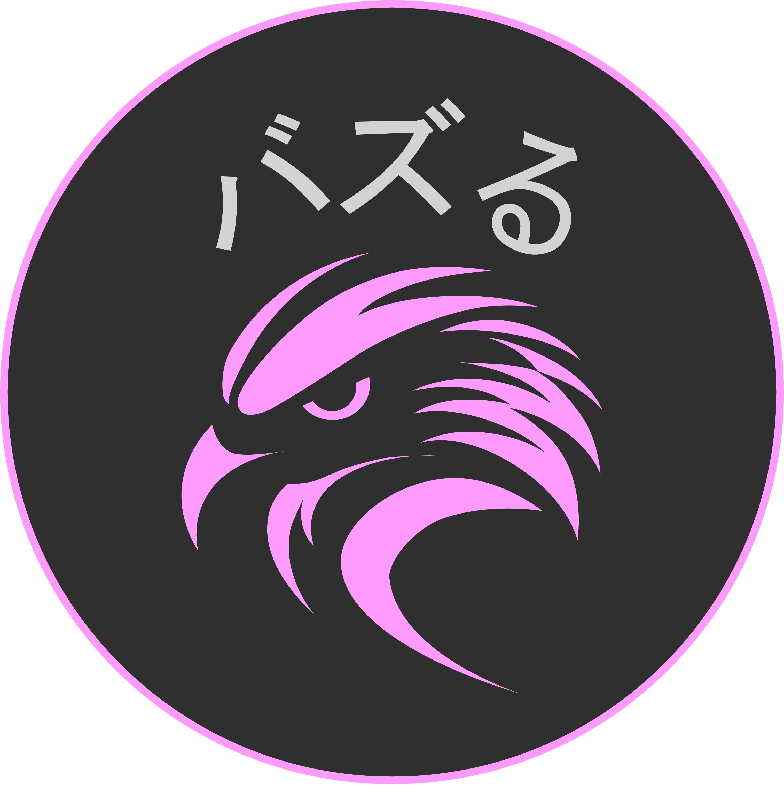 Logo for The Steady Pilot
